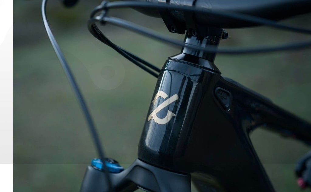 VTT électrique AMFLOW PL Carbon Pro 800Wh Noir - 2025