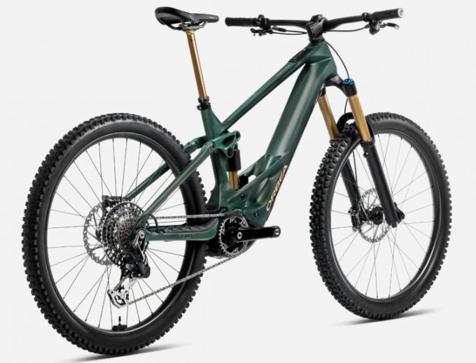 Orbea WILD M-LTD 2025
