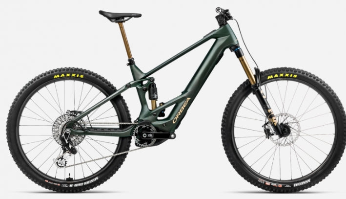 Orbea WILD M-LTD 2025