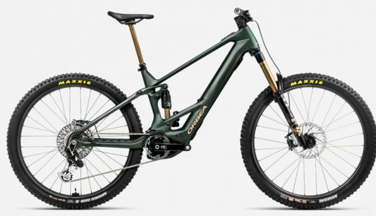 Orbea WILD M-LTD 2025